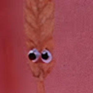 Meet your Posher, Allie